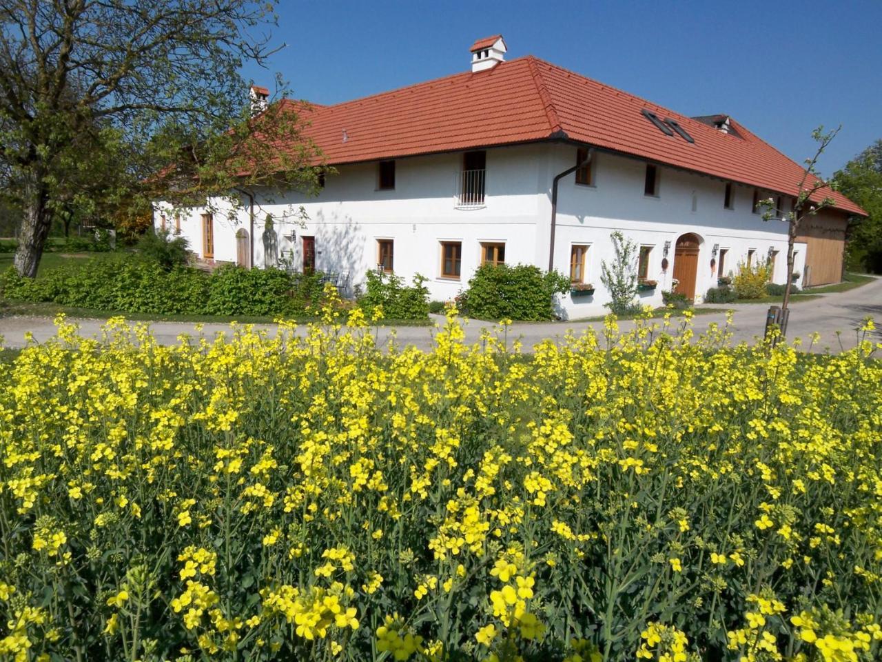 Vitalhof Roithinger Grieskirchen Extérieur photo